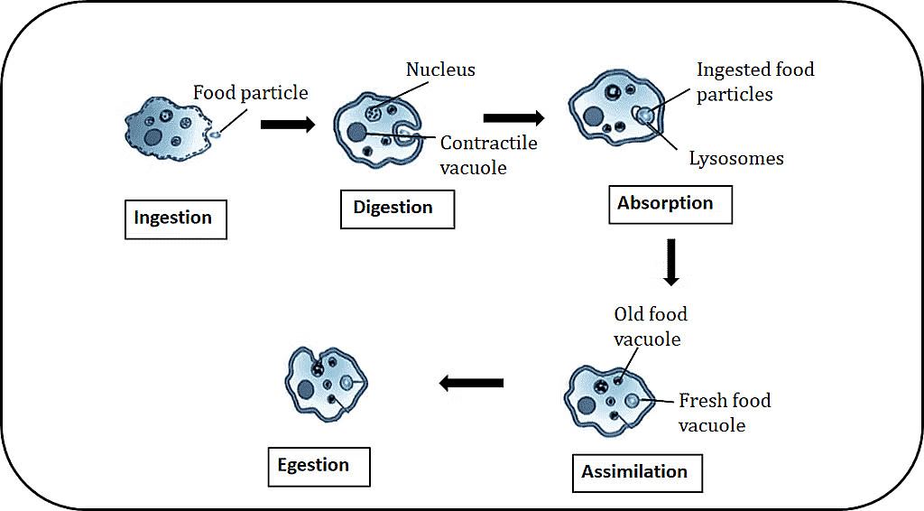 Previous Year Questions 2016