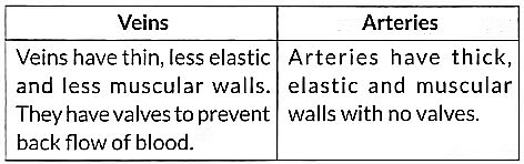 Class 10 Science Chapter 5 Previous Year Questions - Life Processes