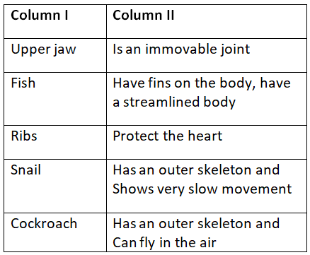 NCERT Solutions for Class 6 Science - Body Movements