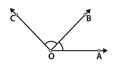 NCERT Solutions for Class 6 Maths Chapter 4 - Basic Geometrical Ideas