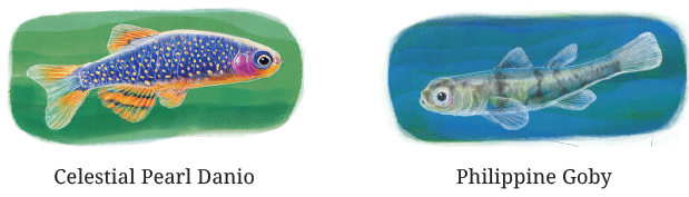 NCERT Solutions for Class 7 Maths Chapter 3 A Peek Beyond the Point