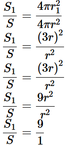 Subjective Type Questions