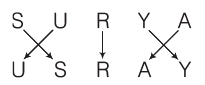 Overview: Analogy | CSAT Preparation - UPSC