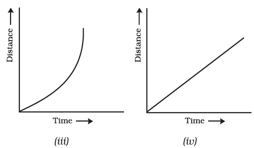 NCERT Solutions for Class 7 Science - Motion and Time