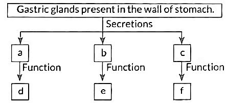 Class 10 Science Chapter 5 Previous Year Questions - Life Processes