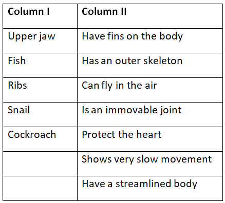 NCERT Solutions for Class 6 Science - Body Movements
