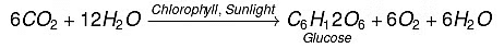 Class 10 Science Chapter 5 Previous Year Questions - Life Processes