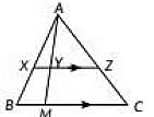 Previous Year Questions: Triangles | Mathematics (Maths) Class 10