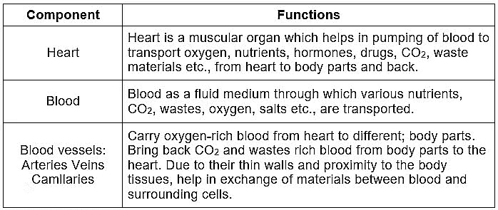 Class 10 Science Chapter 5 Previous Year Questions - Life Processes