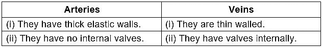 Class 10 Science Chapter 5 Previous Year Questions - Life Processes