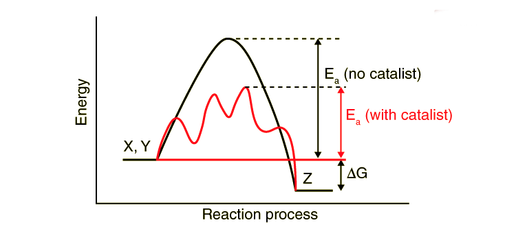 Chemical Reaction Catalysis | Chemistry for EmSAT Achieve
