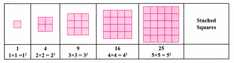Patterns in Mathematics NCERT Solutions | Mathematics (Maths) Class 6