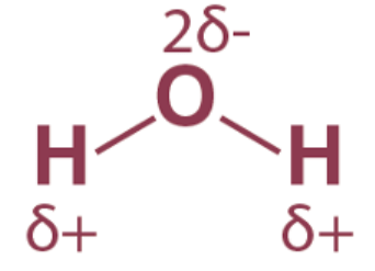 Covalent Bonds | Chemistry for EmSAT Achieve