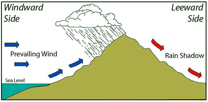 Types & Distribution of Precipitation | Geography Optional for UPSC