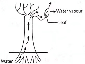 Previous Year Questions 2023