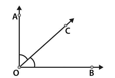 NCERT Solutions for Class 6 Maths Chapter 4 - Basic Geometrical Ideas