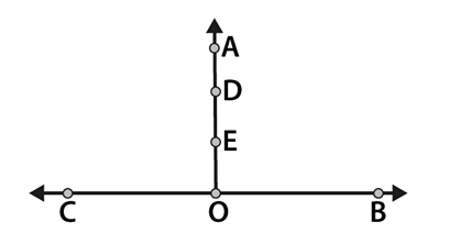 NCERT Solutions for Class 6 Maths Chapter 4 - Basic Geometrical Ideas
