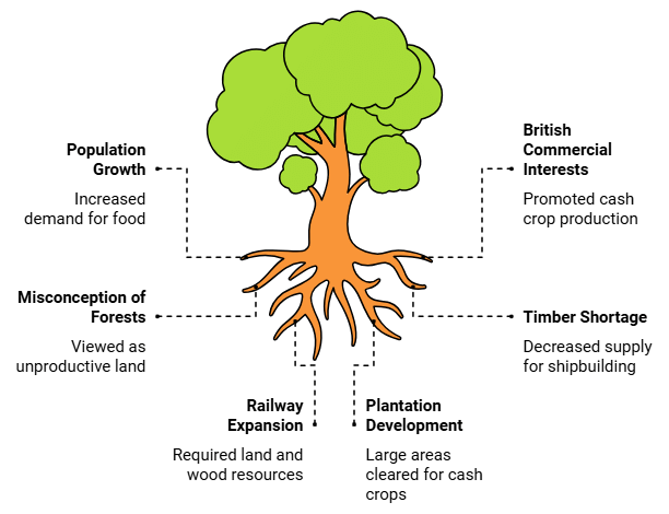 Key Concepts - Forest Society & Colonialism | Social Studies (SST) Class 9
