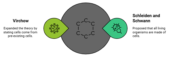 The Fundamental Unit of Life Summary Class 9 Science Chapter 5