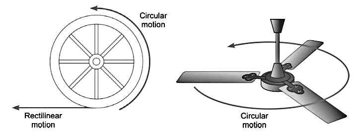 Class 6 Science Chapter 7 Question Answers - Motion and Measurement of Distances