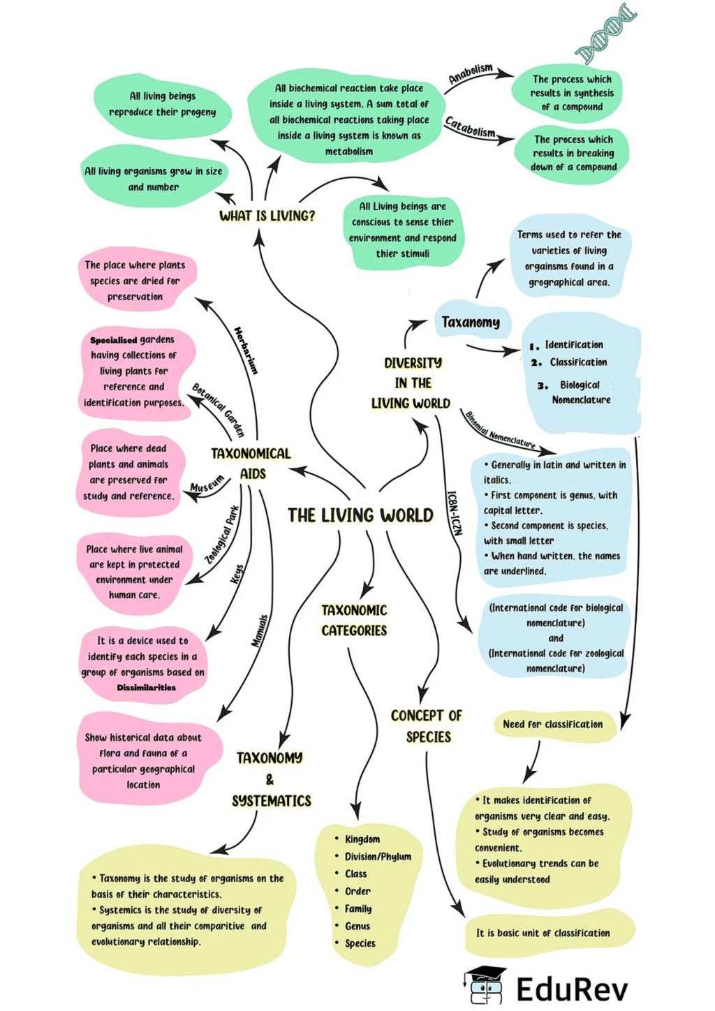 Mind Map: The Living World - NEET