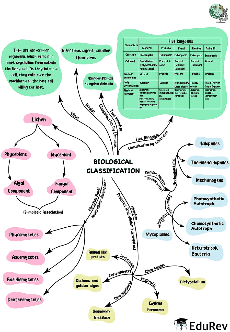 Mindmap: Biological Classification | Subject-Wise Mind Maps for NEET