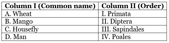 Daily Practice Problems (DPP) with Solutions for NEET: The Living World | Biology Class 11