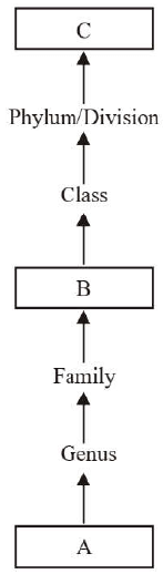 Daily Practice Problems (DPP) with Solutions for NEET: The Living World | Biology Class 11