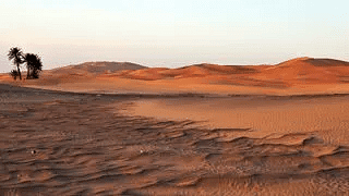 Life in the Deserts Summary Class 7 Geography Chapter 7