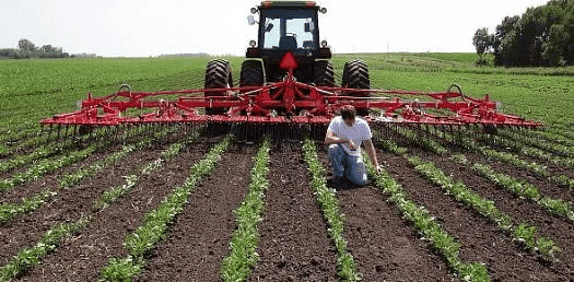 World Agriculture: Typology of Agricultural Regions | Geography Optional for UPSC