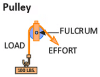 Notes: Science & Technology | GK Olympiad for Class 5