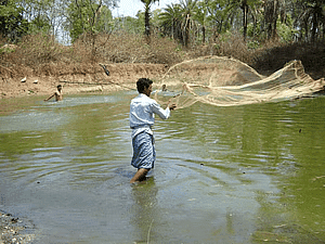 Class 6 Civics Chapter 7 Notes - Rural Livelihoods