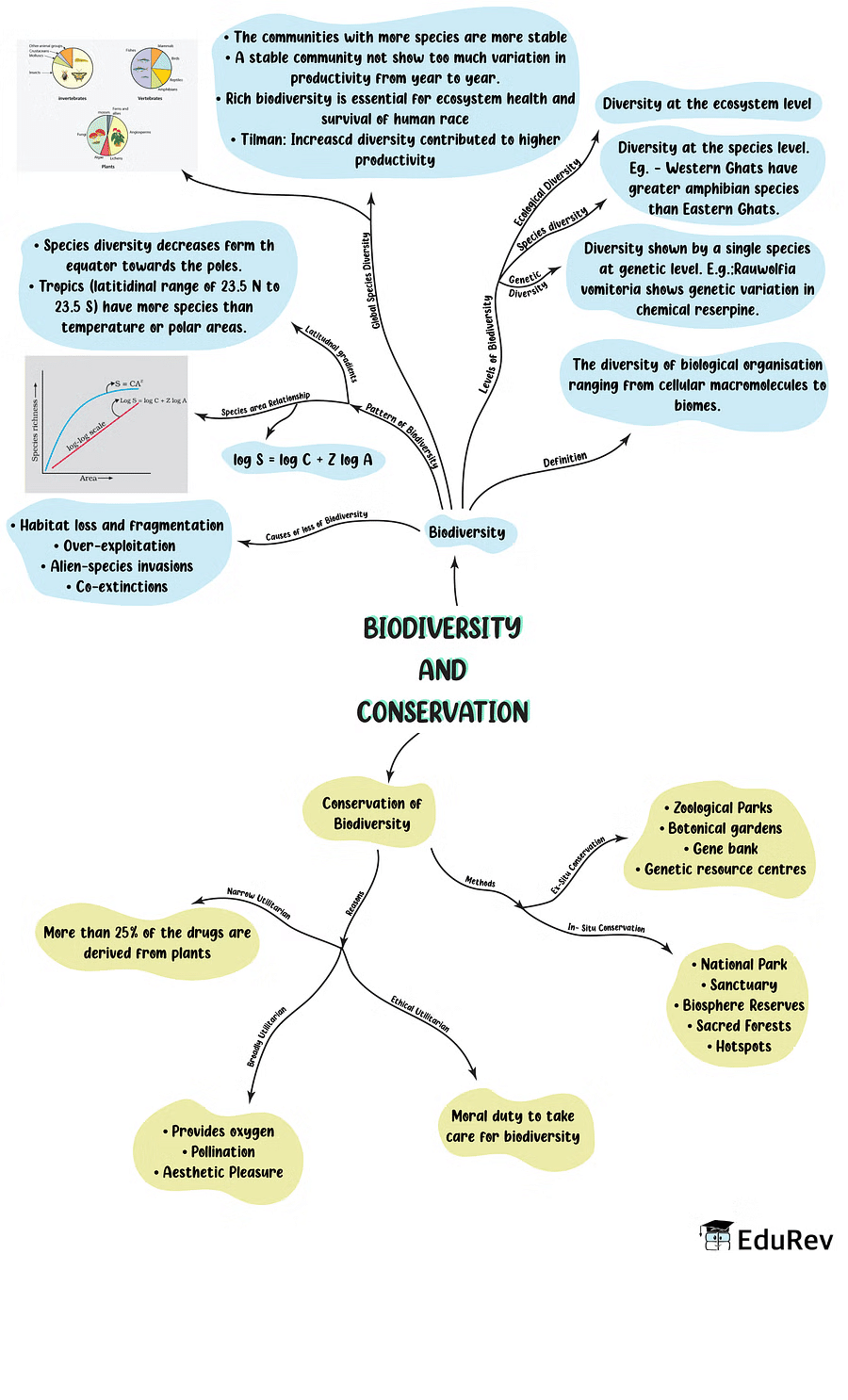 Mindmap: Biodiversity and Conservation | Biology Class 12 - NEET
