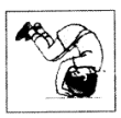 NCERT Solutions for Class 6 English Honeysuckle - Chapter 5 - A Different Kind of School