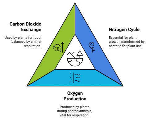 Air Summary Class 7 Geography Chapter 4