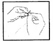NCERT Solutions for Class 6 English Honeysuckle - Chapter 5 - A Different Kind of School