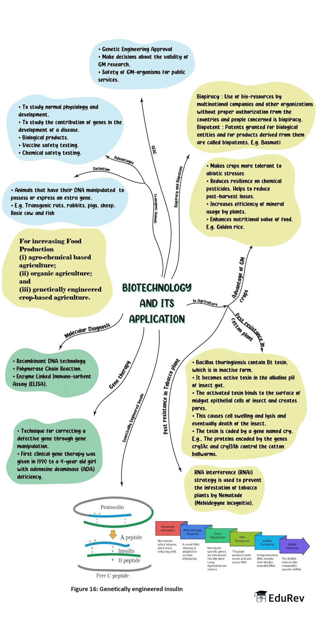 Mindmap: Biotechnology and its application | Biology Class 12 - NEET