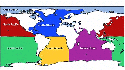 Ocean Basins