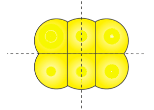 NCERT Solutions for Class 6 Maths - Symmetry