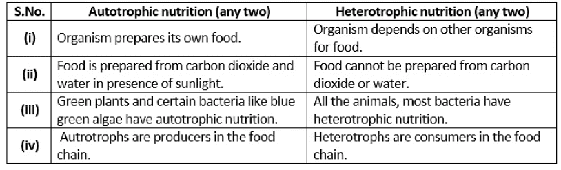 Class 10 Science Chapter 5 Practice Question Answers - Life Processes