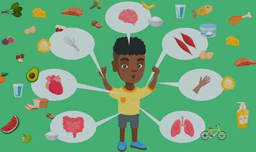 Notes: Our Body & Health | GK Olympiad for Class 5