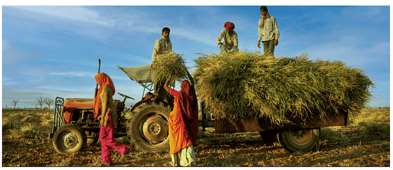 New Strategy: Agriculture | Indian Economy for UPSC CSE