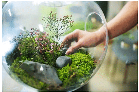 Principles of Ecology | Geography Optional for UPSC