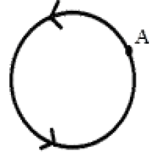 NCERT Solutions for Class 10 Maths Chapter 1 - Real Numbers (Exercise 1.1)