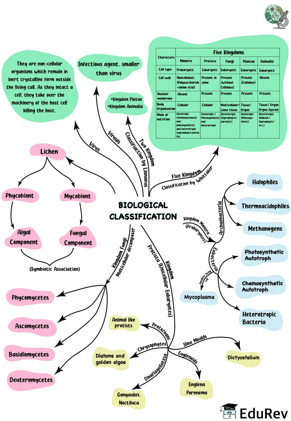 Mind Map: Biological Classification | Biology for ACT