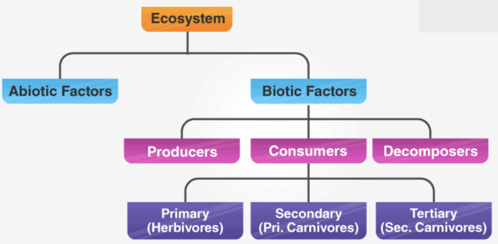 Ecosystem & Food Chain | Science Class 10