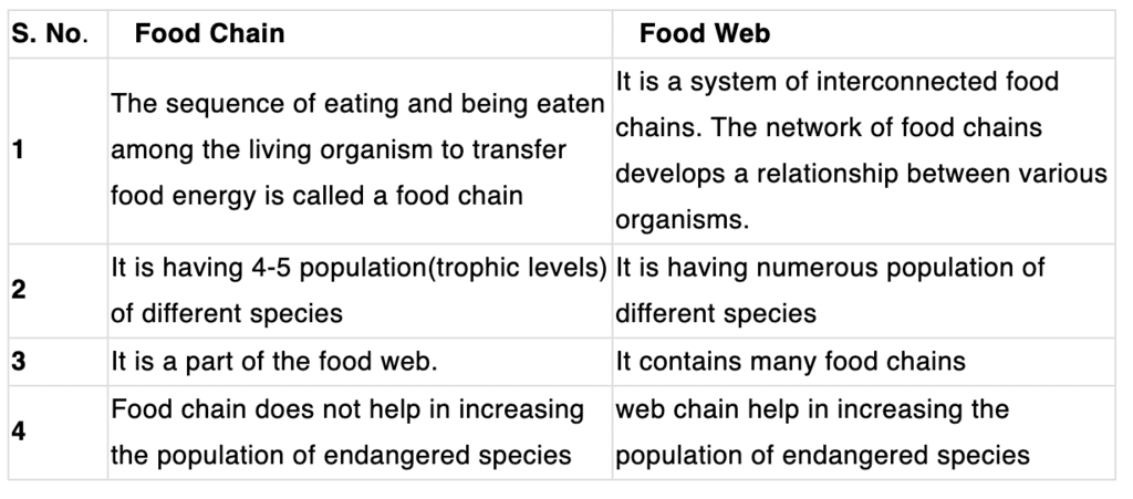 Ecosystem & Food Chain | Science Class 10