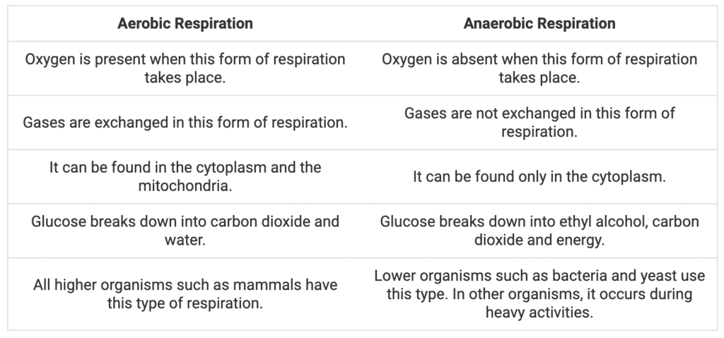 Respiration in Humans & Plants | Science Class 10