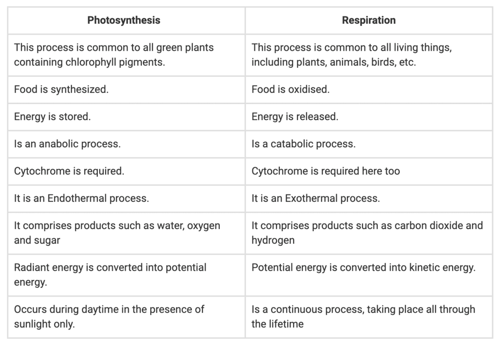 Respiration in Humans & Plants | Science Class 10