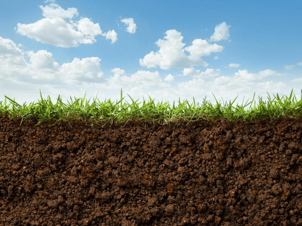 Class 8 Geography Chapter 2 Notes - Land, Soil, Water, Natural Vegetation and Wildlife Resources Resources